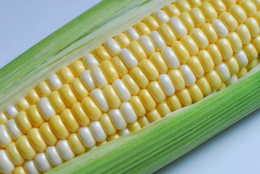 Peaches and Cream Sweet Corn Seeds - 30 Seeds