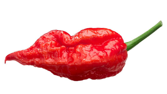 Bhut Jolokia Ghost Pepper Seeds - 75+ Seeds to Grow - The Hottest Peppers! Add Amazing Flavor. Made in USA. Ships from Iowa