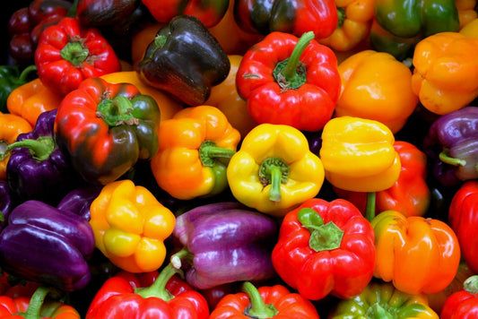 Sweet Bell Pepper Seeds - Rainbow Mix - All Colors - 50 Seeds to Plant