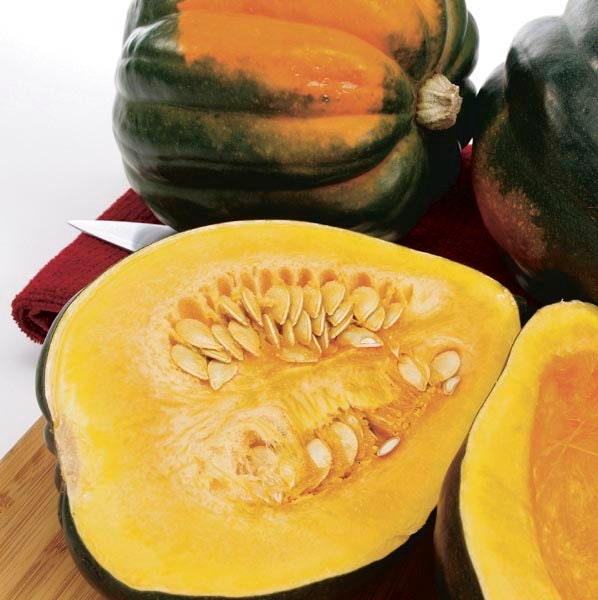 Acorn Squash Seeds for Planting - 50+ Seeds - Table Squash, Delicious and Nutritious - Made in USA, Ships from Iowa