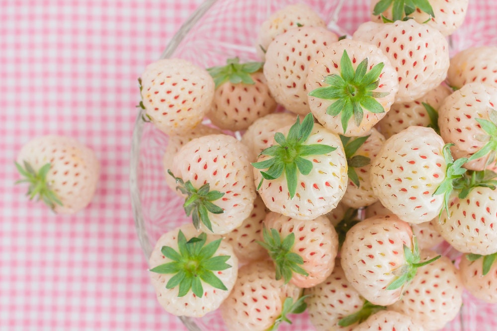 white strawberry seeds Everbearing White Strawberry Seeds - 250+ Seeds