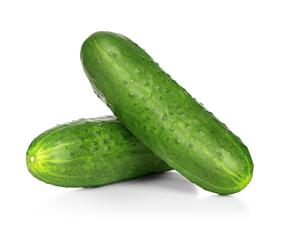 Cucumber Seeds | 50 Seeds | Grow your own Food | Vegetable Seeds for Planting | Made in USA