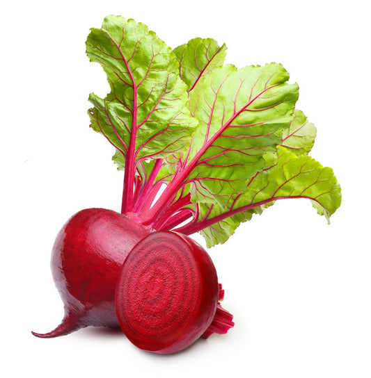 Red Beets Seed - 250+ Seeds - Made in USA, Ships from Iowa.