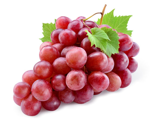 20+ Red Concord Grape Seeds - Grow Grape Vines for Wine Making, Fruit Dessert - Made in USA, Ships from Iowa.