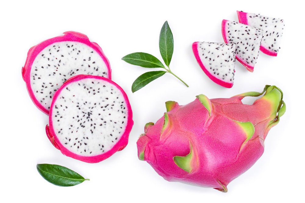 50 Dragonfruit Seeds (Pitaya / Pitahaya / Strawberry Pear) Hylocereus Undatus Cactus Seeds - Ships from Iowa, USA