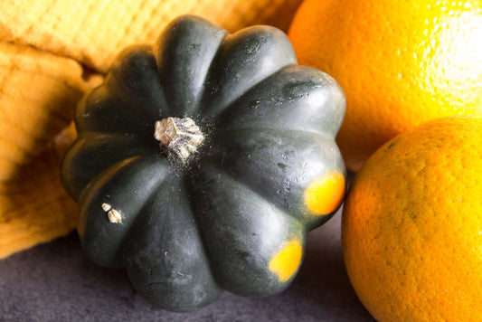 Giant Acorn Squash Seeds for Planting - 50+ Seeds - Table Squash, Delicious and Nutritious - Made in USA, Ships from Iowa