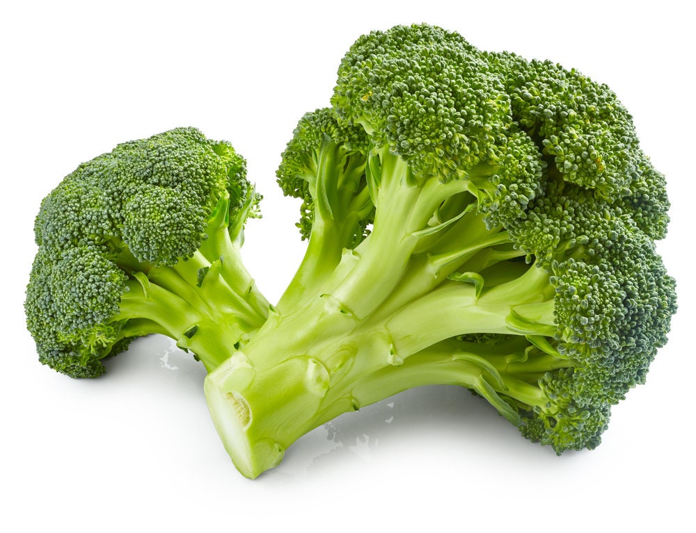 250 Broccoli Seeds | Non-GMO | Fresh Garden Seeds | Made in USA. Ships from Iowa