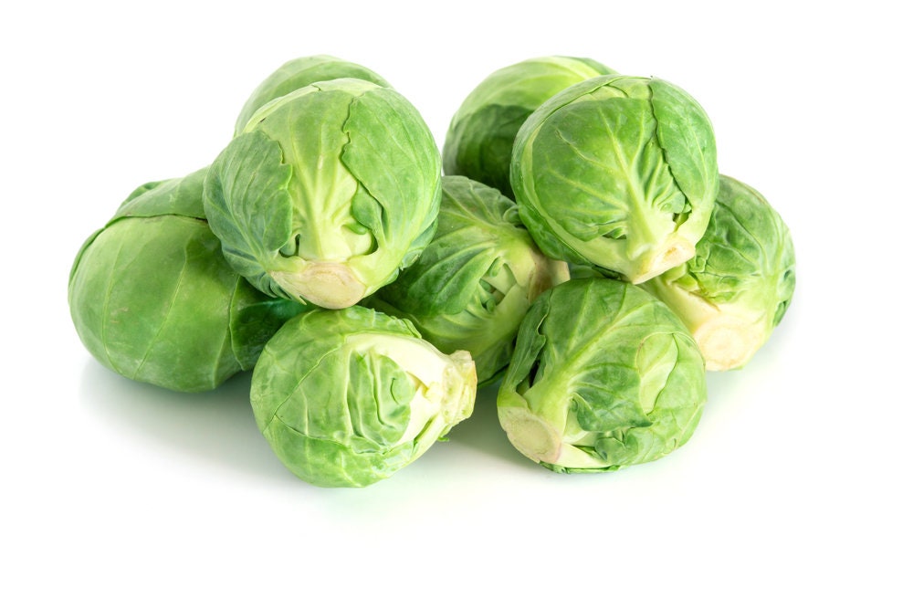 250 Long Island Brussel Sprouts Seeds | Grow Your Own Food