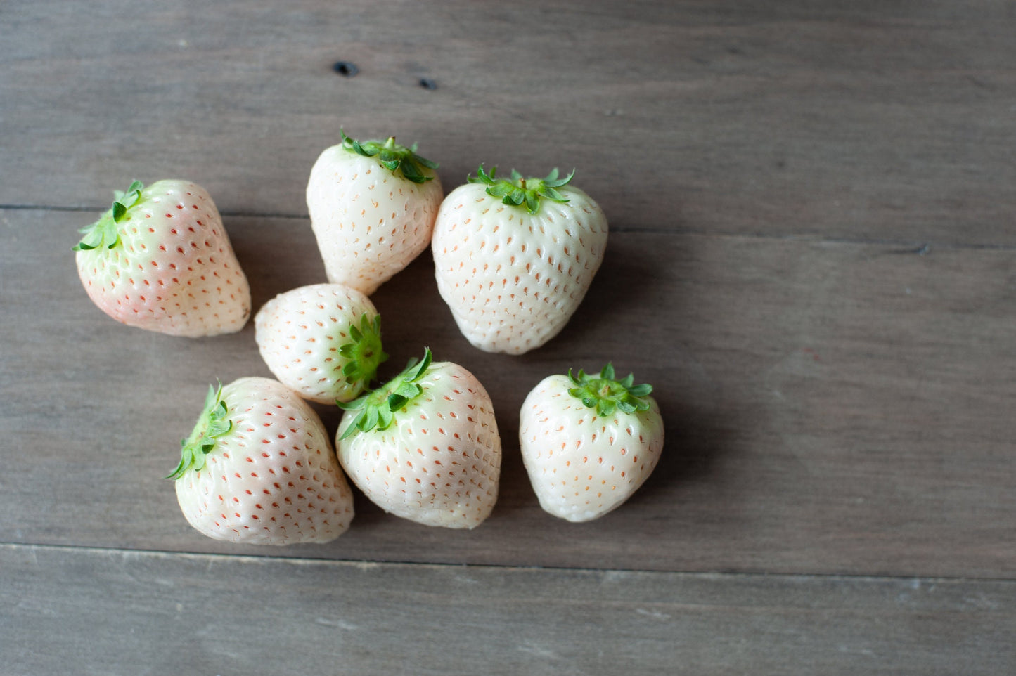 White Strawberry Seeds - 200+ Seeds - White Pineberry Seeds - Made in USA, Ships from Iowa