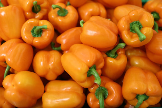 Orange Bell Pepper Seeds - Made in USA