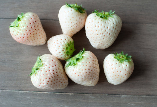 White Strawberry Seeds - 200+ Seeds - White Pineberry Seeds - Made in USA, Ships from Iowa