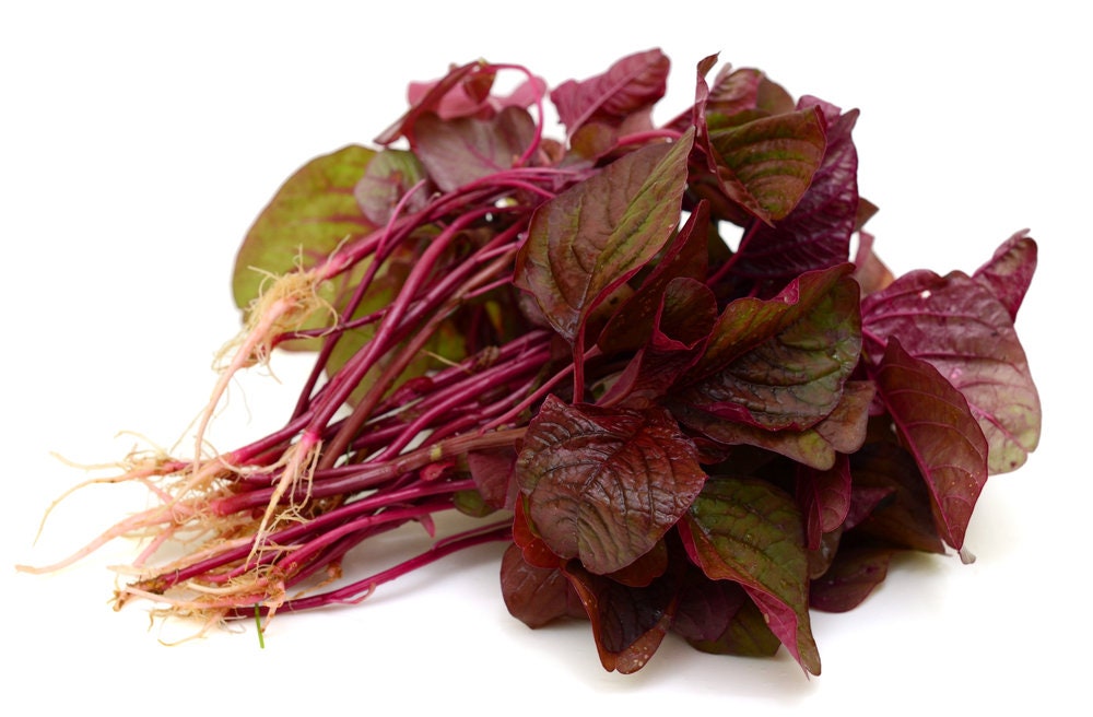 Red Amaranth Spinach Seeds for Planting - 500+ Seeds - Ships from Iowa, USA. Very Healthy Edible Spinach