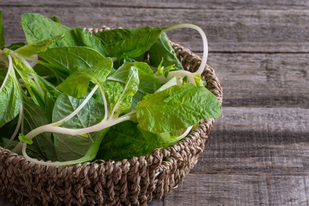 Green Amaranth Spinach Seeds for Planting - 500+ Seeds - Ships from Iowa, USA. Very Healthy Edible Spinach