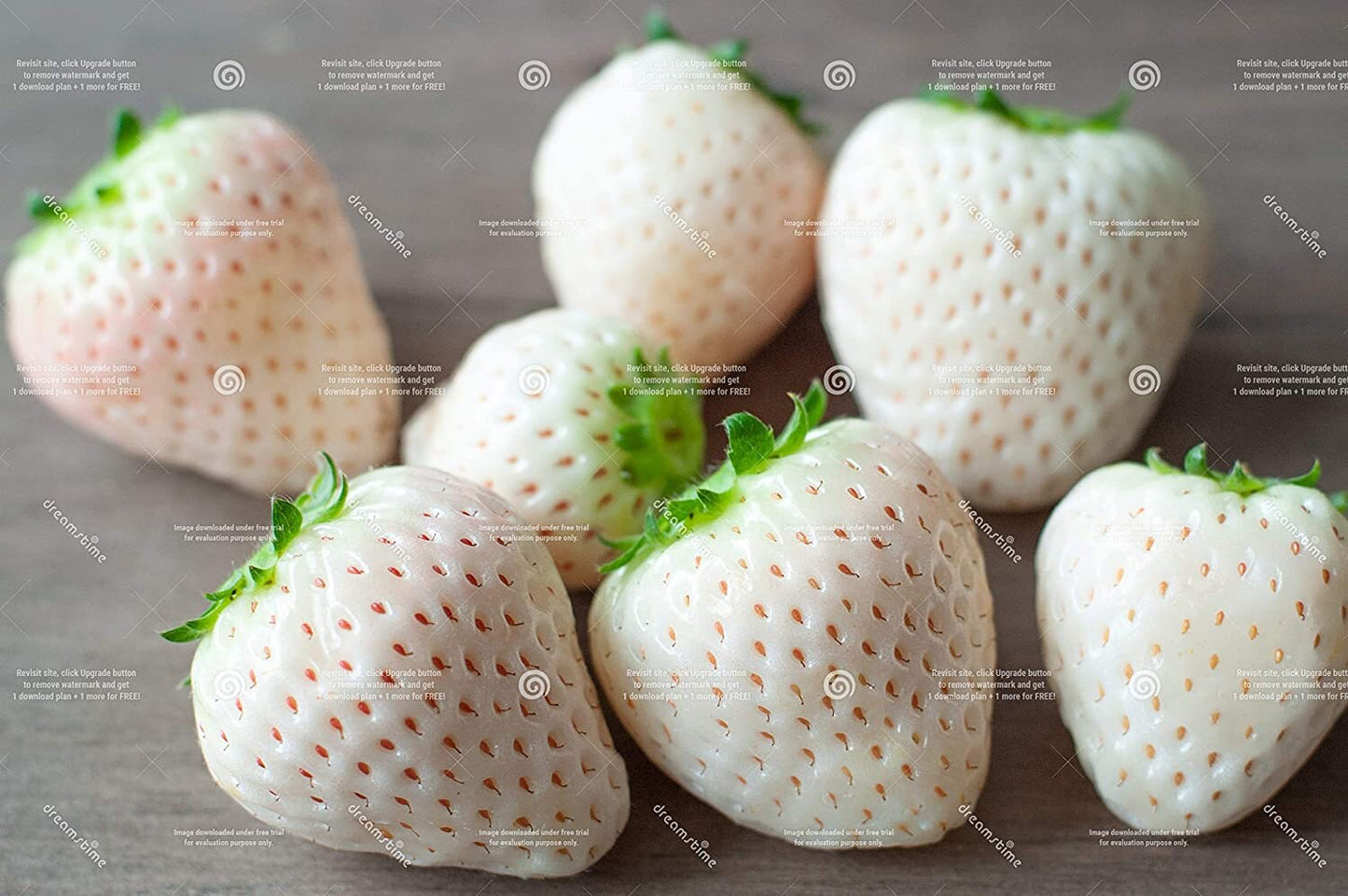 Emma's Exotic White Strawberry's - 100 Seeds to Grow - Ships from Iowa, USA