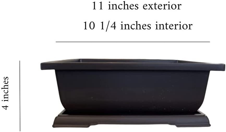 One XL Bonsai Pot - 11 inch. Drip Tray Included