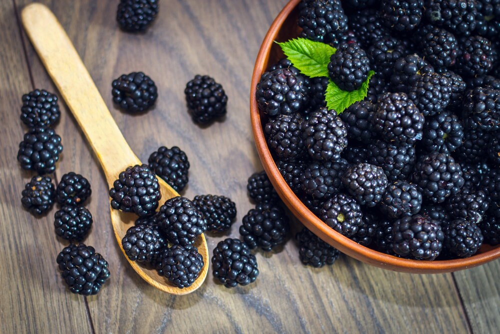 50+ Wild BlackBerry Seeds - Garden Fruits, Black Berry Bonsai Plants - Non-GMO Seeds, Grown and Shipped from Iowa. Made in USA