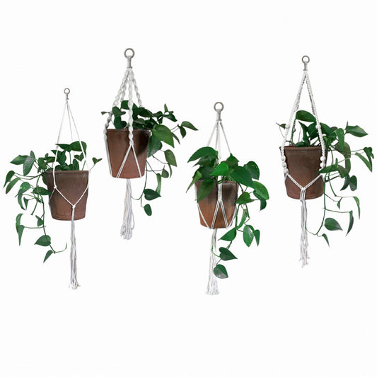 Authentic Set of 4 Macrame Plant Holder Basket With Wooden beads For Indoor And Outdoor Bohemian Decor