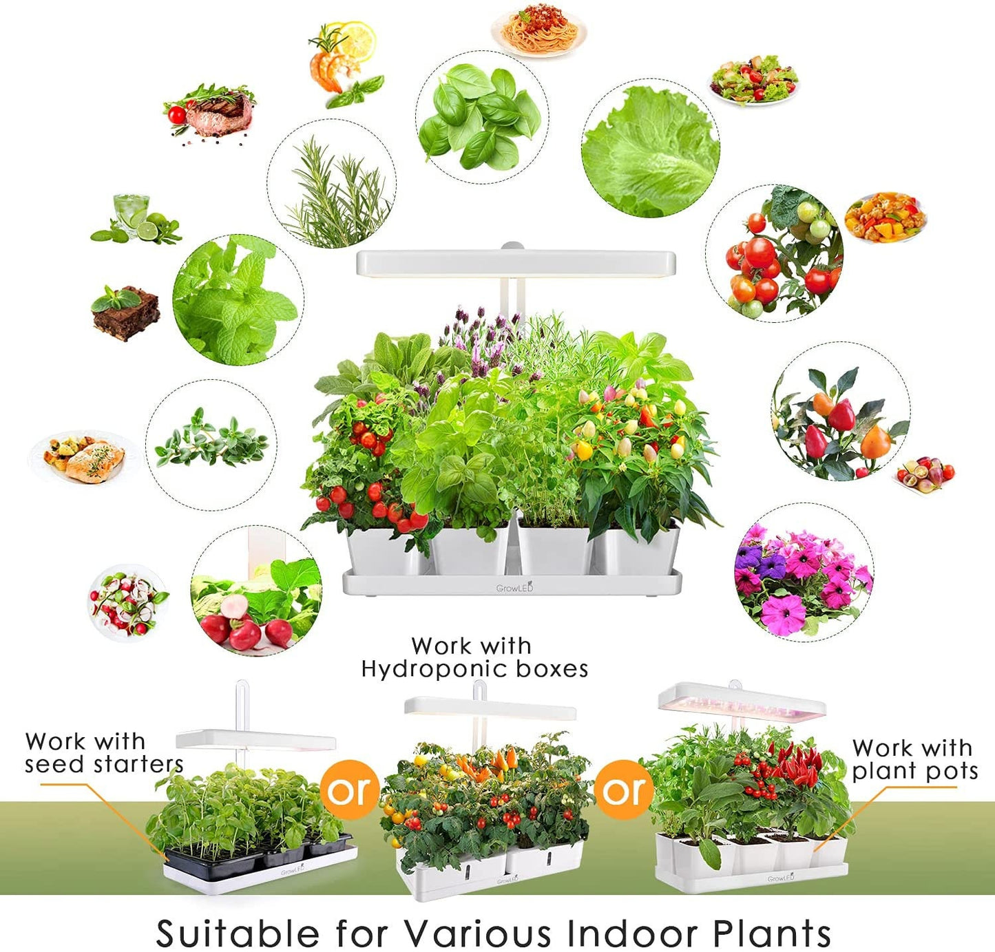 Hydroponic Herb Garden - Grow Plants Indoors, Year Round