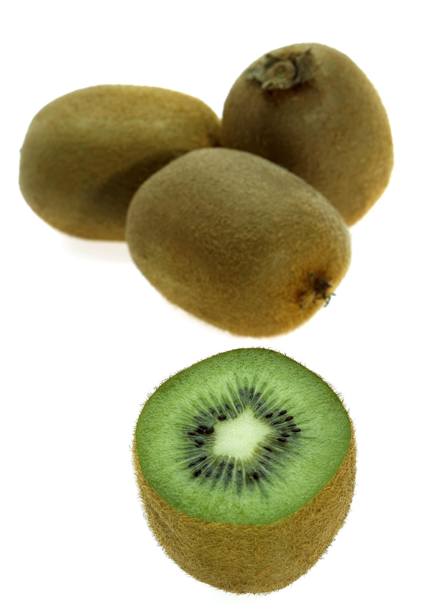 Kiwi Tree Seeds for Planting | 50 Seeds | Actinidia chinensis Seeds