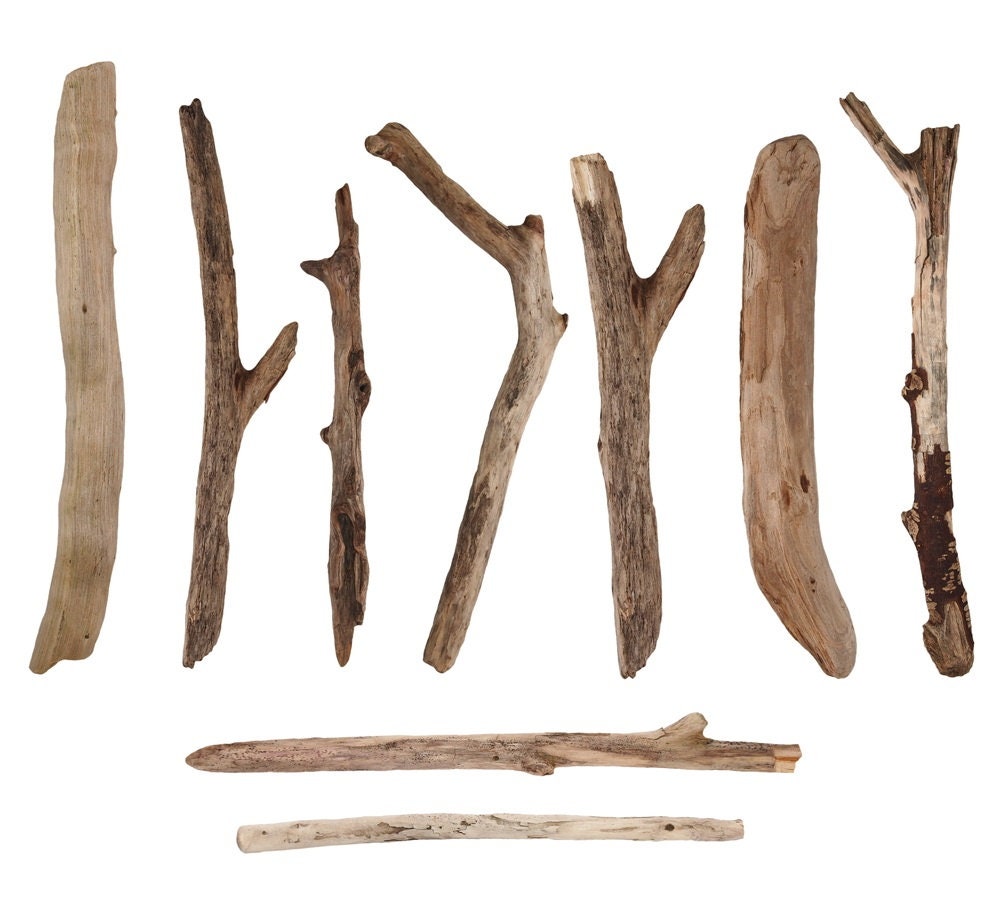 Driftwood Decor Bundle - Freshwater Iowa Driftwood, 1-2 Feet in Length. Worn by Waves and Time. Pick Quantity