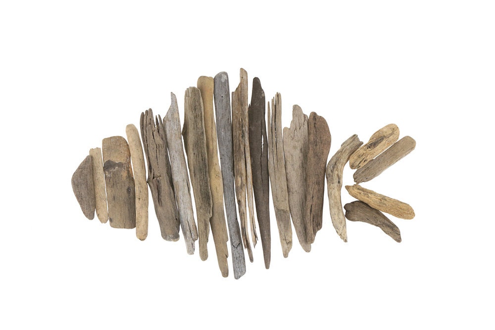 Driftwood Decor Bundle - Freshwater Iowa Driftwood, 1-2 Feet in Length. Worn by Waves and Time. Pick Quantity