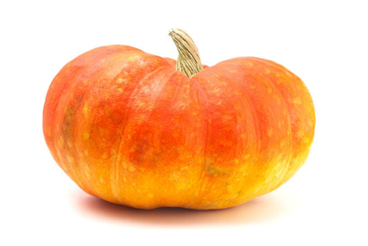 Cinderella Pumpkin Seeds for Planiting (Rouge VIF d’Etampes) - 20 Seeds