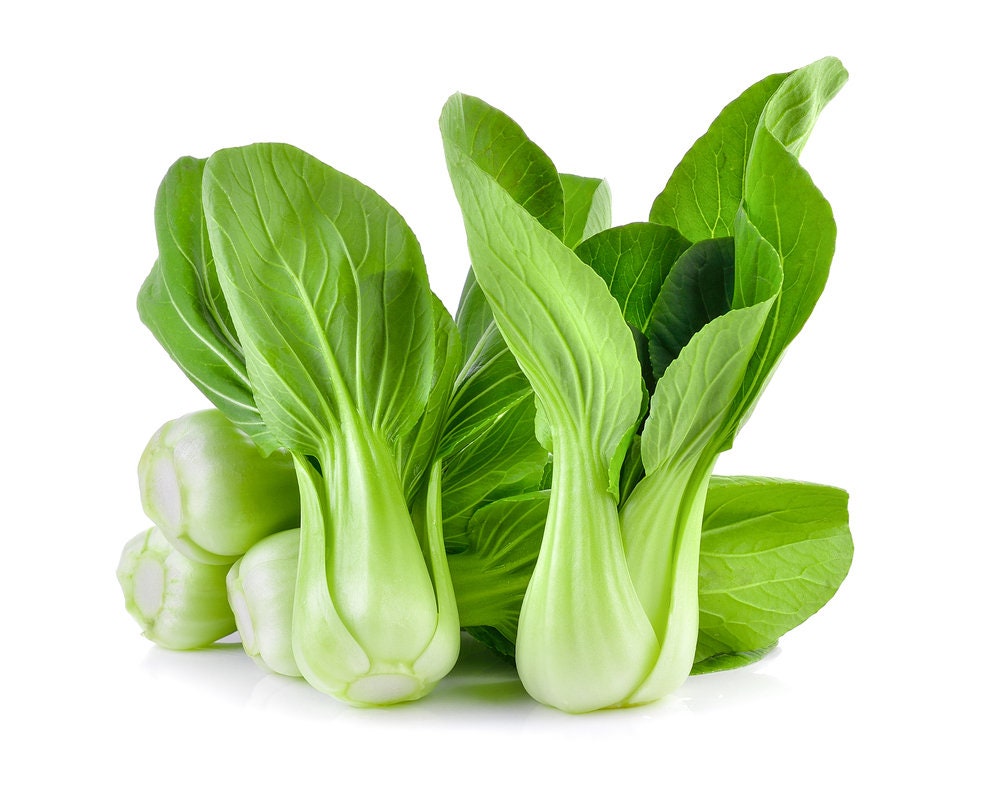 Pak Choi Cabbage Seeds for Planting - Pak Choy Heirloom, Non-GMO Vegetable Variety- Ships from Iowa, USA - Bok Choi