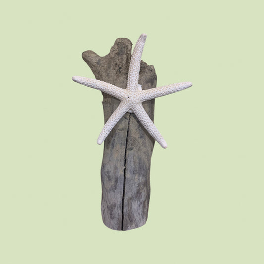 Driftwood Christmas Tree Star