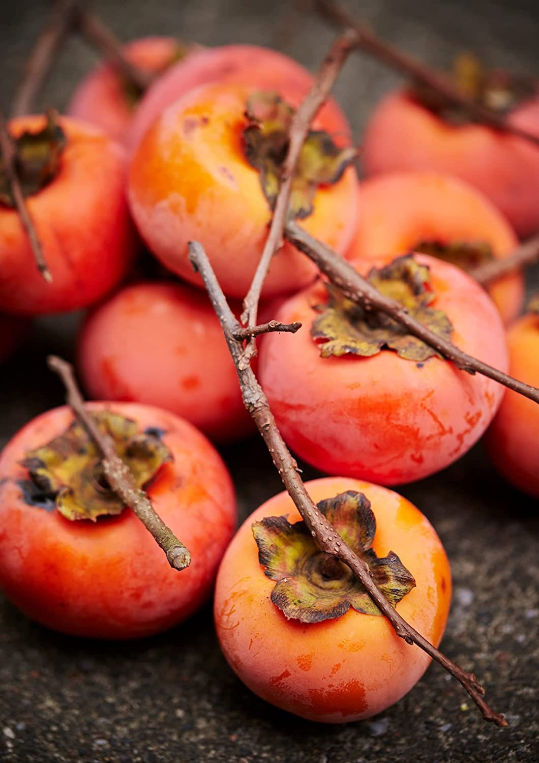 20 Persimmon Tree Seeds - Made in USA, Ships from Iowa - Popular Outdoor Tree or Bonsai