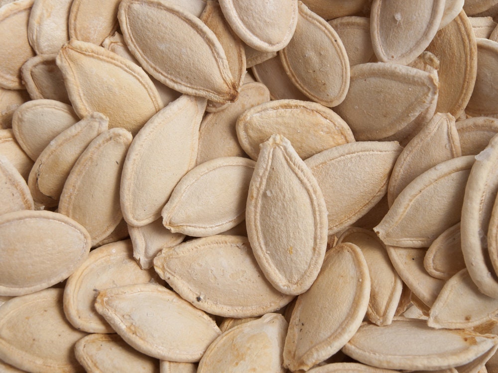 Marina di Chioggia Winter Squash Seeds - 10 Seeds to Grow - Rare and Amazing Squash