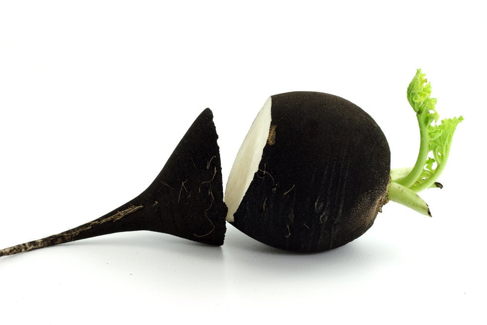 Black Spanish Radish Seeds for Planting - 100+ Seeds - Rare Garden Vegetable Seeds