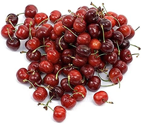 Dwarf Cherry Bonsai Tree Seeds - 50 Seeds - Ships from Iowa, USA