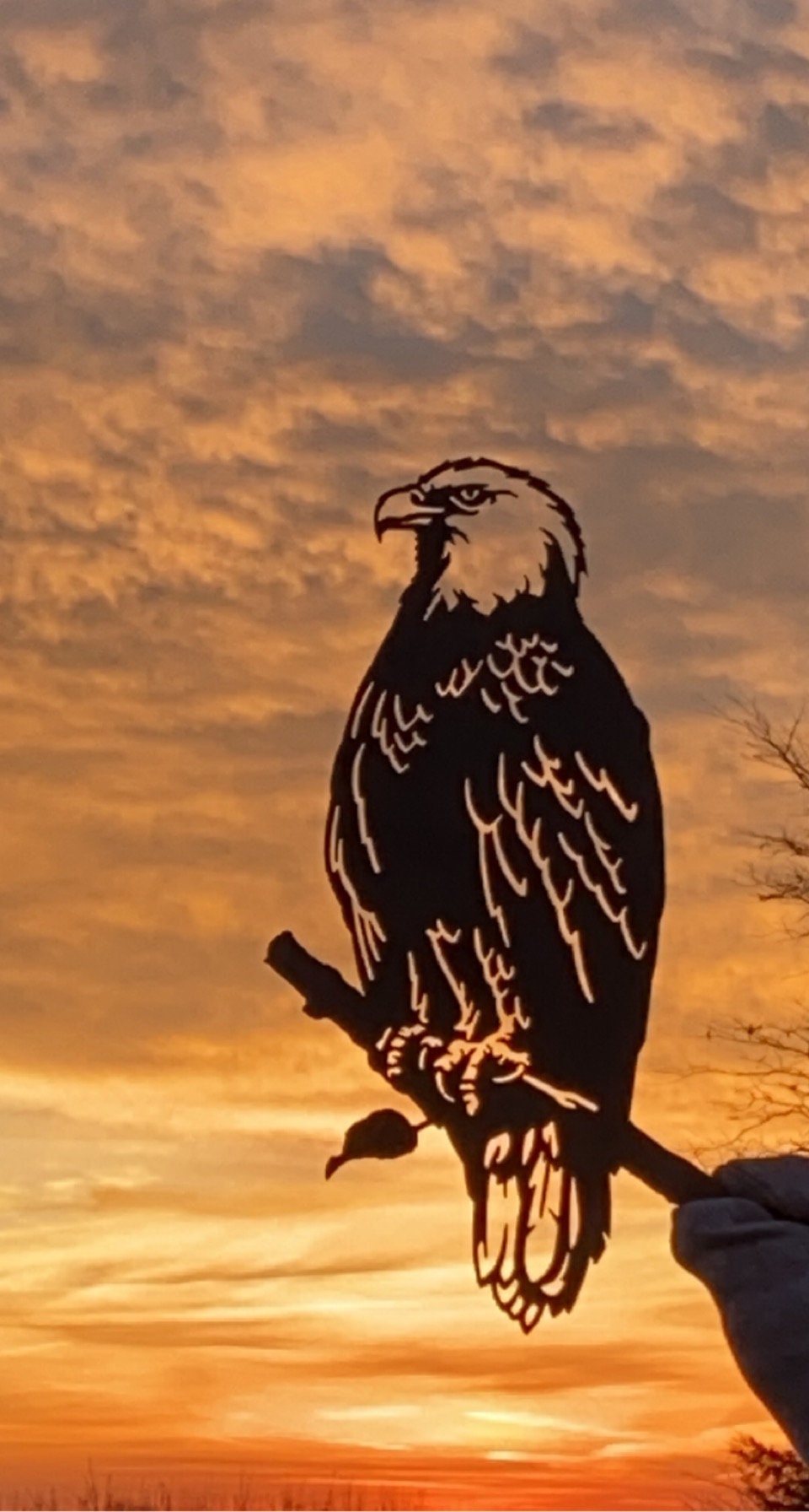 Bald Eagle Metal Art - Made in USA - Garden Sculpture