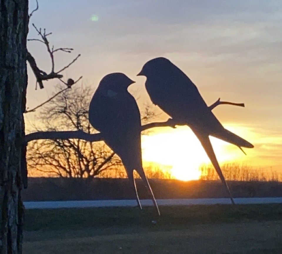 Love Birds Metal Art - Made in USA - Birds on a Branch