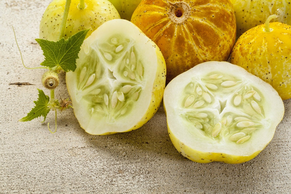 Lemon Cucumber Seeds - Fresh Seeds to Grow - Exotic Heirloom Vegetable Seeds for Planting - Non-GMO - Apple Cucumber