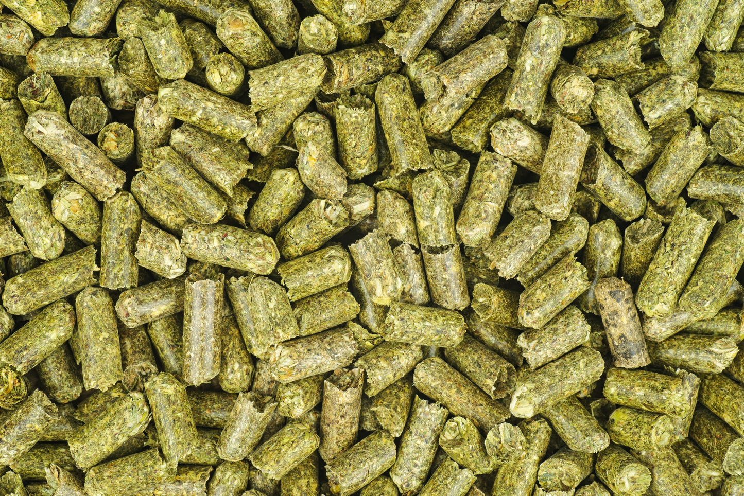 5 Pounds Timothy Hay Pellets for Small Pets - Food Pellets