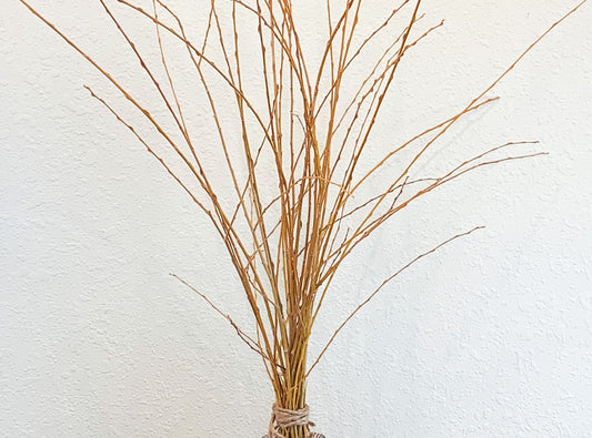 16 Gold Weeping Willow Branch Tips - Great for Decoration, Vase Filler, Wedding or Event Decor - Approx. 3 Foot Tall