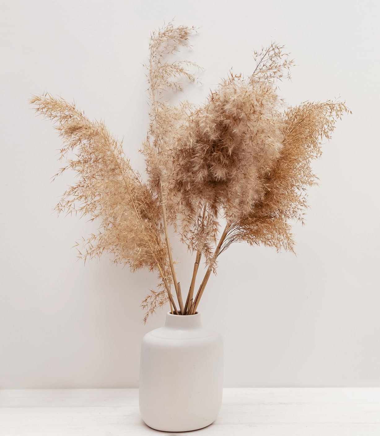 20 Real Pampas Grass Stalks 5 Feet Tall - 100% All Natural, Grown and Shipped from Iowa, USA. - Vase Filler, Wedding Decoration