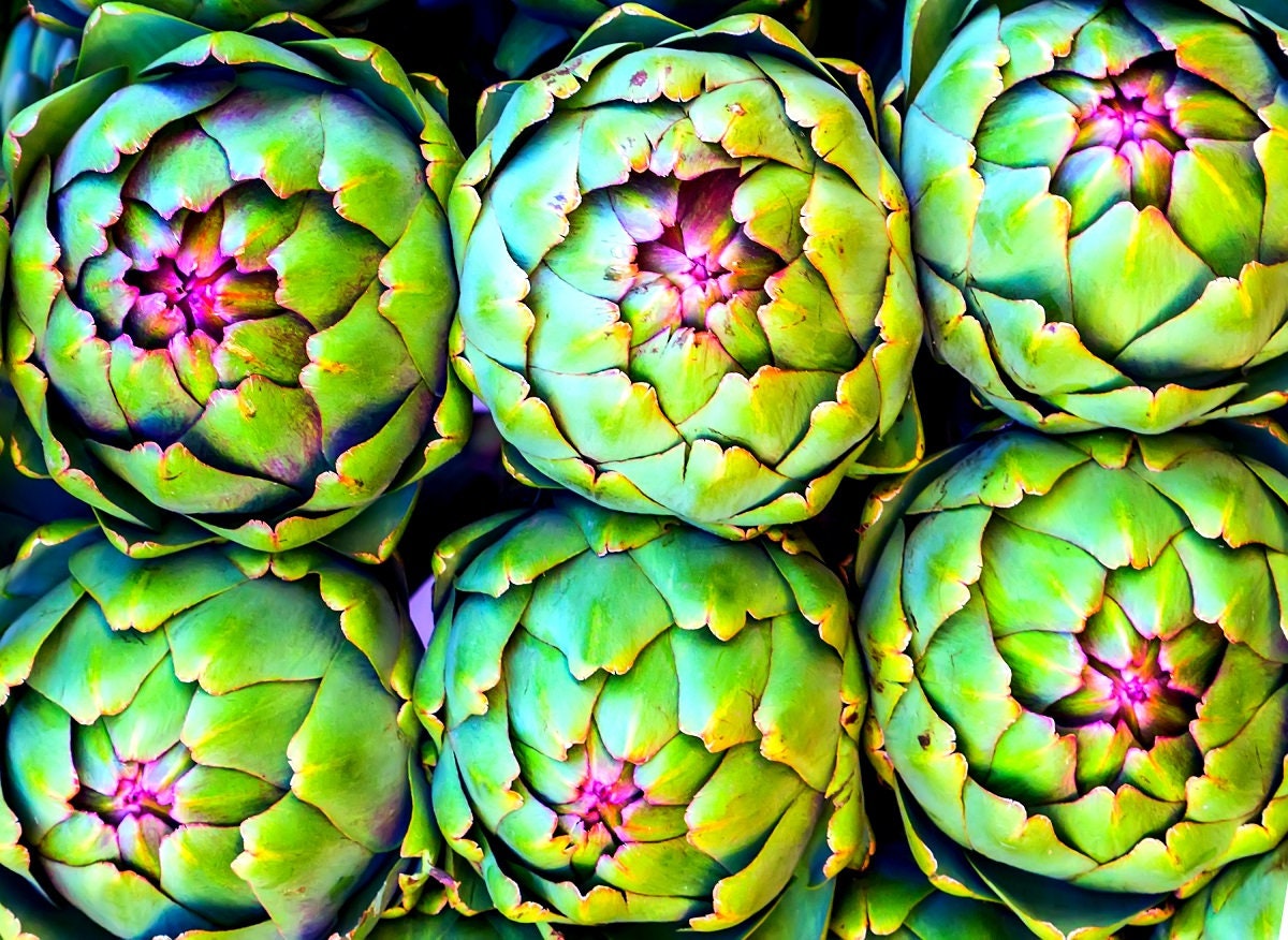 Globe Artichoke Seeds for Planting - 30+ Seeds - Rare Garden Vegetable Seeds