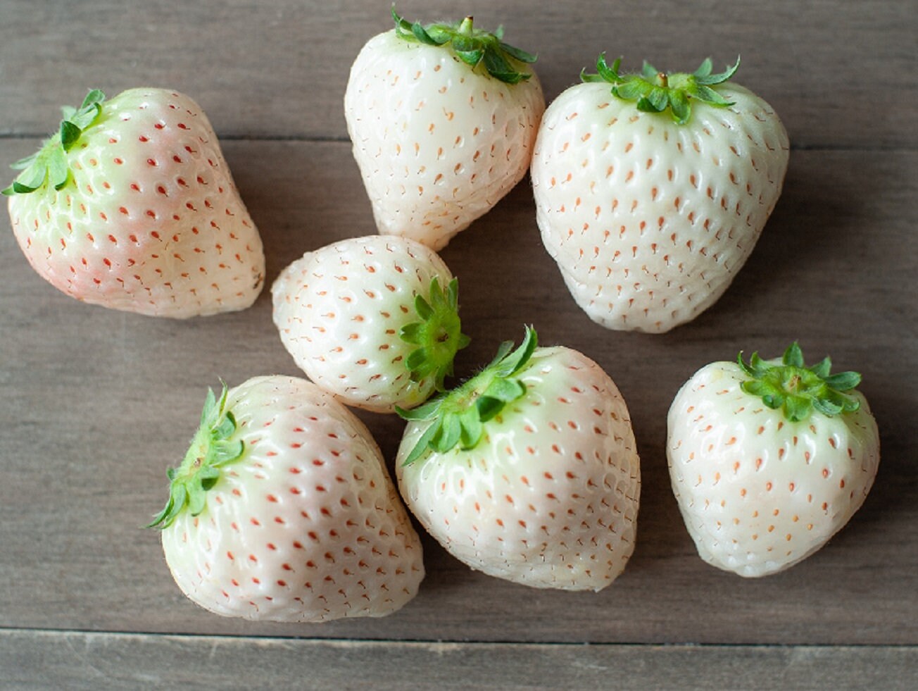 Double the Color Strawberry Duo Packet - 100 Red Strawberry Seeds + 100 White Strawberry Seeds to Plant