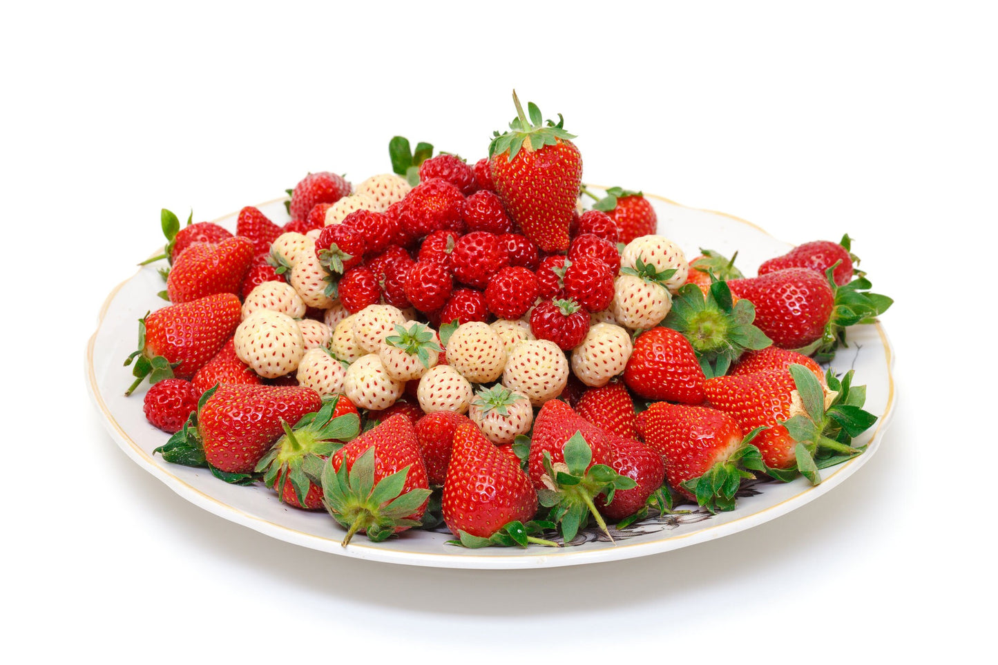 Double the Color Strawberry Duo Packet - 100 Red Strawberry Seeds + 100 White Strawberry Seeds to Plant