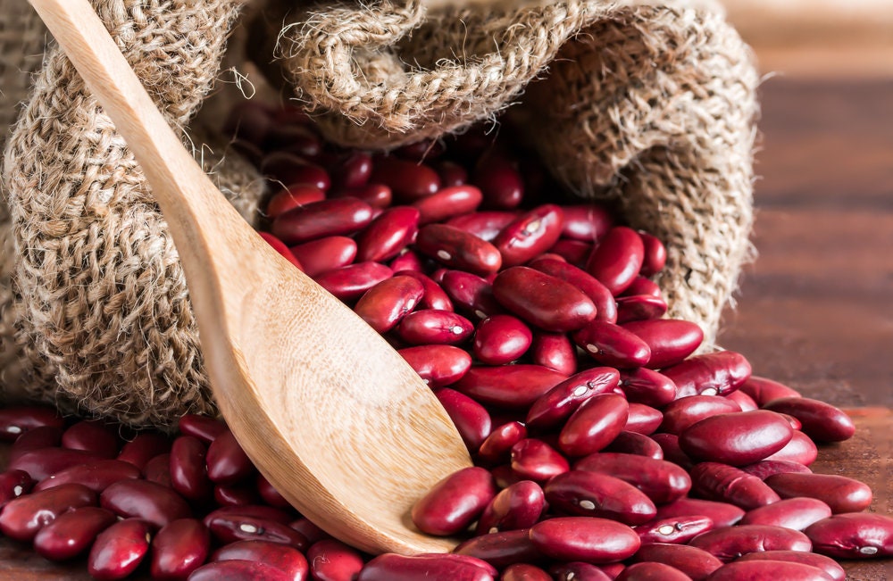 Red Kidney Bean Seeds for Planting - Easy to Grow, Very Healthy and Tasty