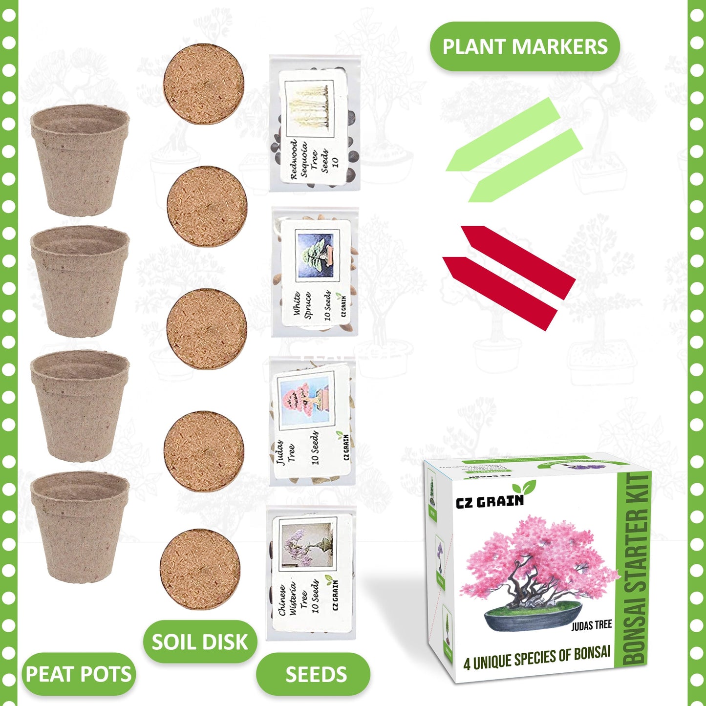 Bonsai Tree Kit - Grow 4 Types of Bonsai Tree from Seed - Highly Desired Species