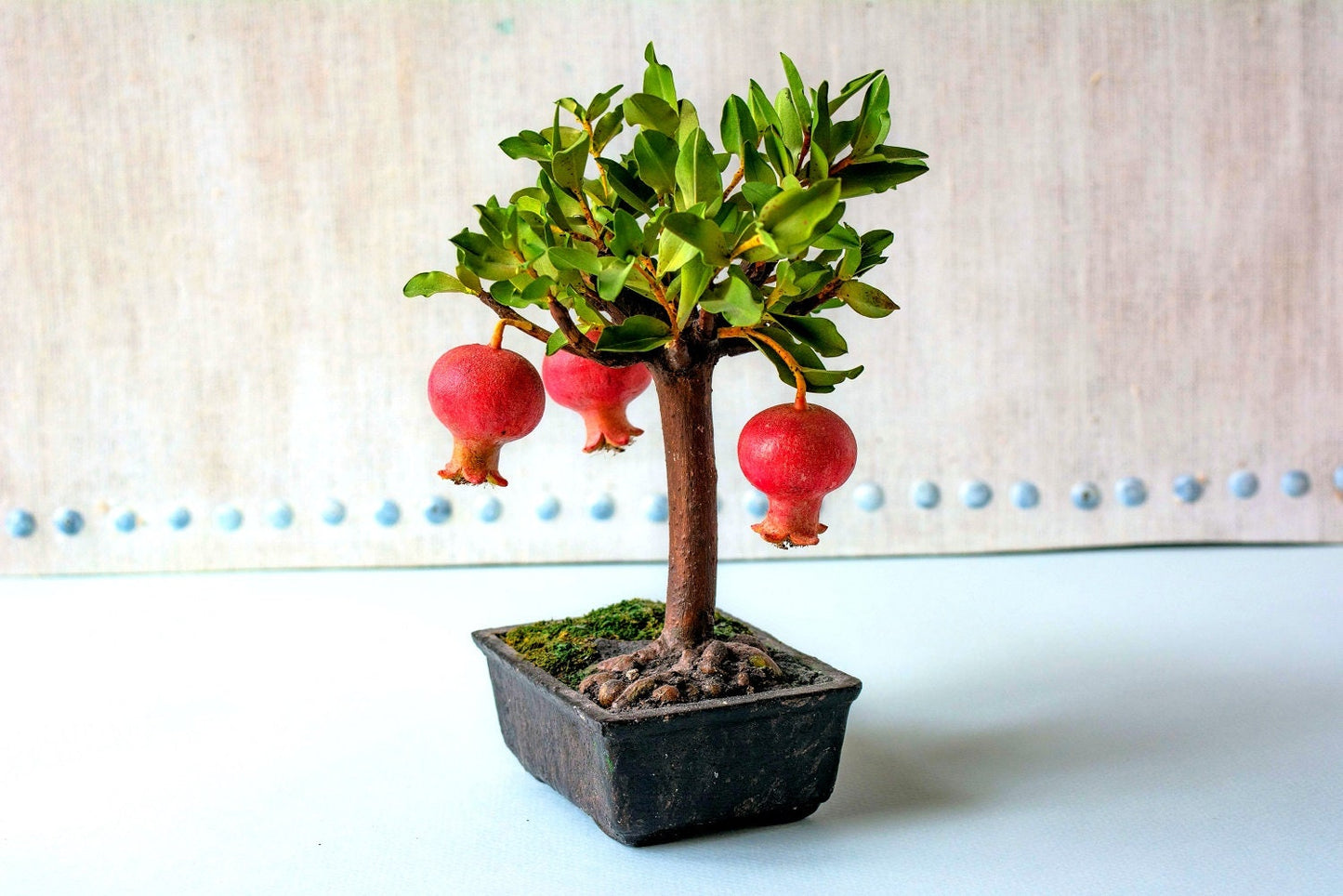 Dwarf Pomegranate Bonsai Tree Seeds - 20 Seeds to Grow - Highly Prized Edible Fruit - Made in USA, Ships from Iowa