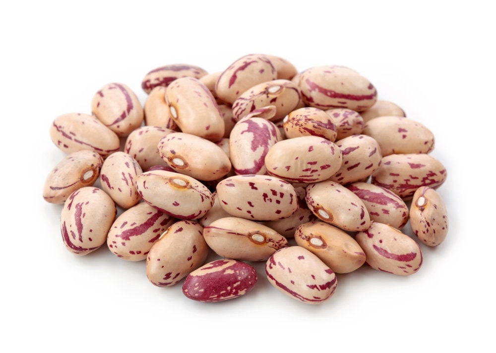 Pinto Bean Seeds for Planting - 50 Seeds - Easy to Grow, Very Healthy