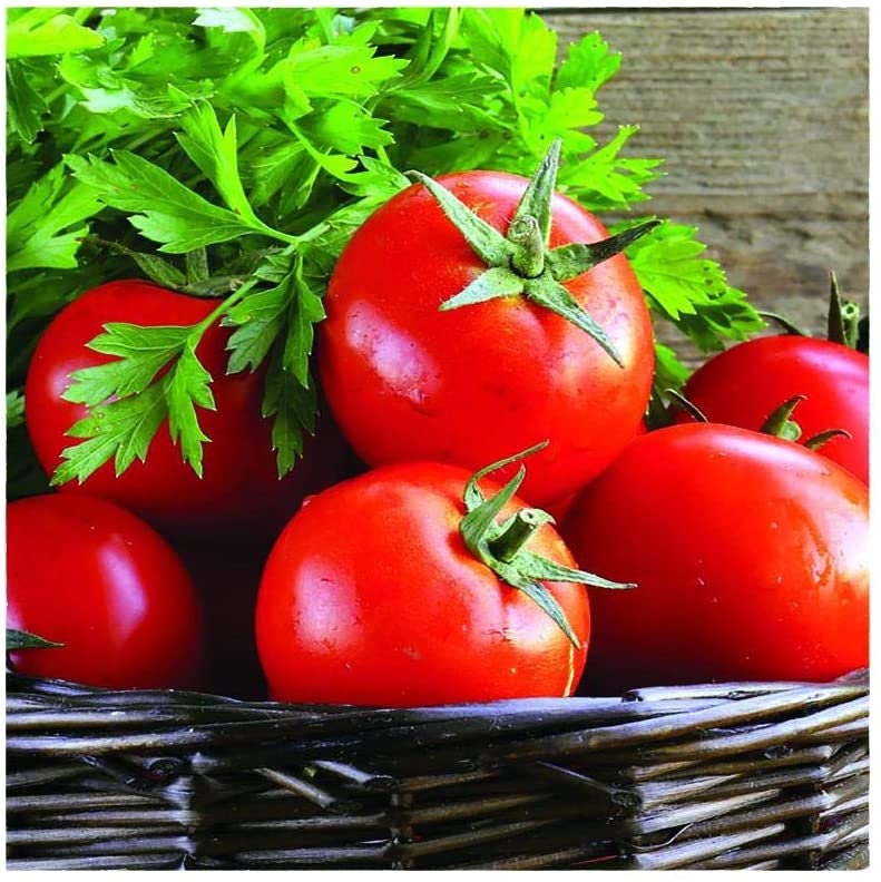 Early Girl Tomato Seeds for Planting | Harvest in 60 Days - 30 Seeds