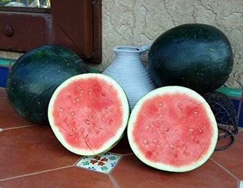 Black Diamond Watermelon Seeds to Grow - Delicious Watermelons are a Summer Time Favorite - Made in USA, Ships from Iowa