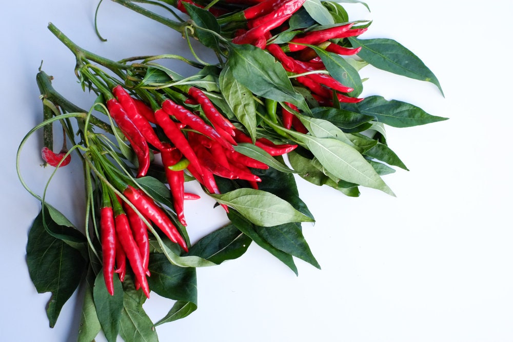 Red Cayenne Pepper Seeds - 100 Seeds - Grow Red Hot Chili Peppers - Great for Eating or Chili Powder