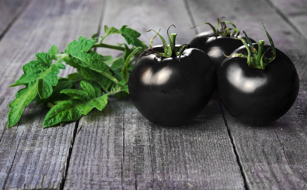 Rare Black Tomato Seeds | 50+ Seeds | Grow Your Own Food | Exotic Black Tomatos