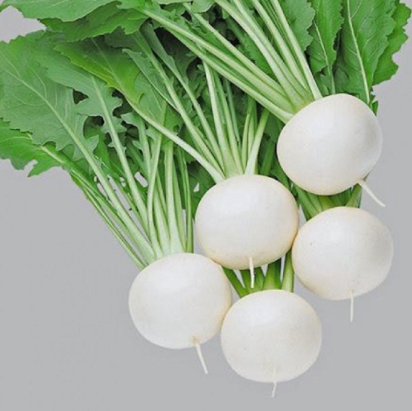 Pure White Turnip Seeds for Planting - 50 Seeds - Fuku Komachi Hybrid Turnip Seed - Exotic Garden Seeds